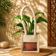 Peace Lily – The Classic, Elegant Air-Purifier