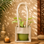 Syngonium White – The Elegant, Easy-Care Arrowhead Plant