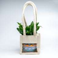 Compact Dracaena – The Ultimate "Set It and Forget It" Desk Plant - Image 6