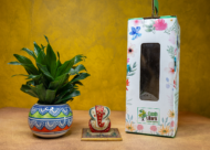 Compact Dracaena – The Ultimate "Set It and Forget It" Desk Plant - Image 3