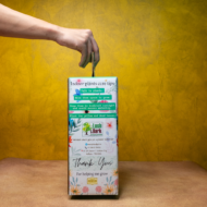 Plant Carry Box - Image 4