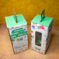 Plant Carry Box - Image 11