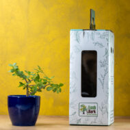 Jade Plants - Image 2