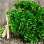 Organic Parsley (Live Potted)