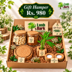 Sustainable Diwali Gift Hampers with Bamboo Planter, Cork Jars & Coasters
