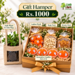 Sustainable Diwali Gift Hampers with Jade Plant, Ladoo, Dry Fruits & Candles
